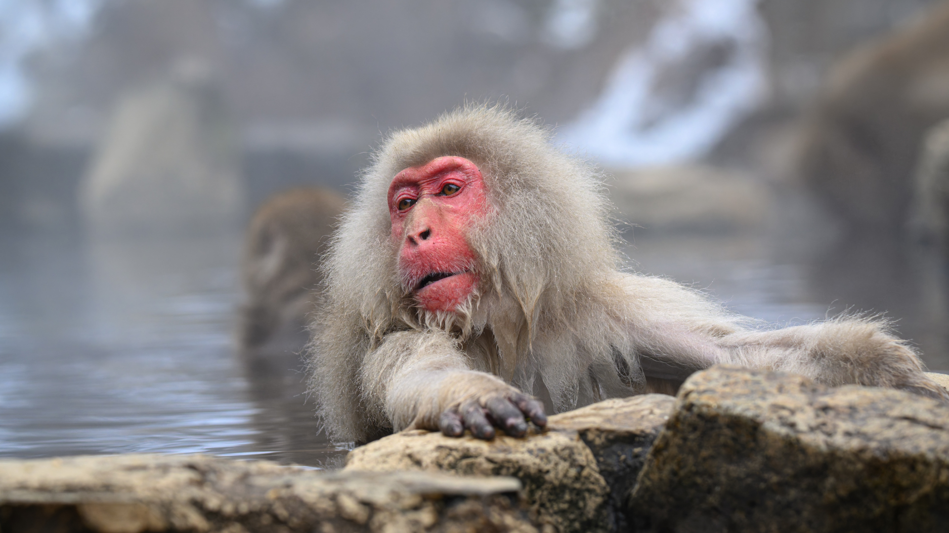 Regional tourism in Japan